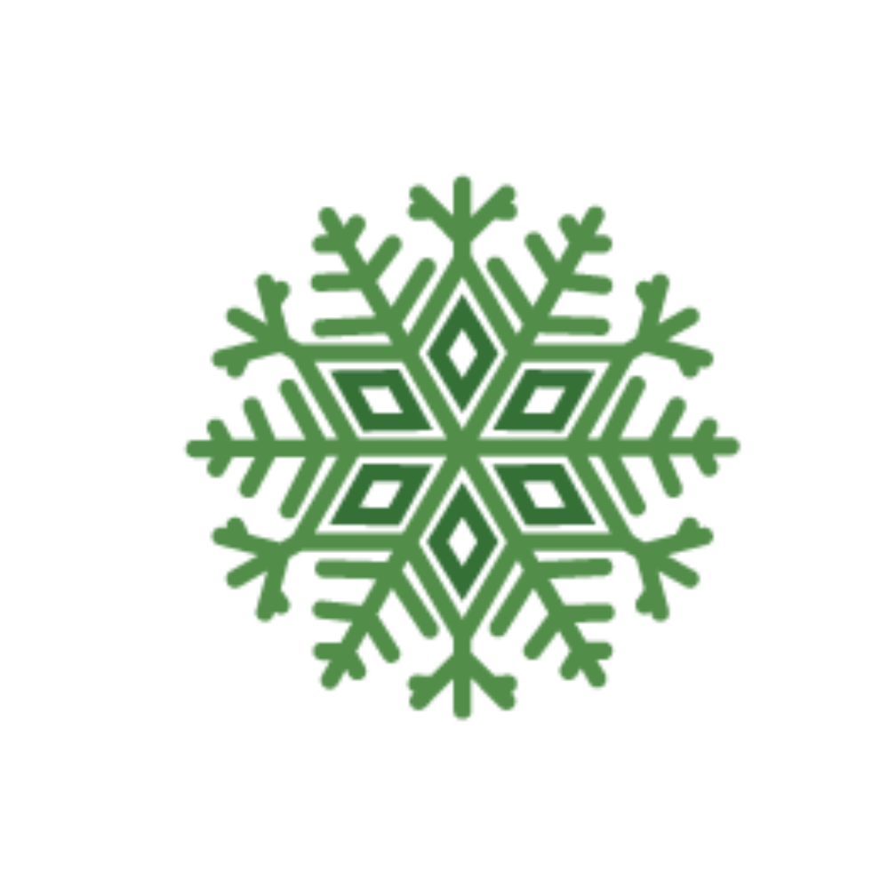 snow flake icon